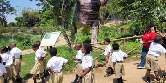 WhatsApp Image 2026-01-13 at 11.29.09 (1)